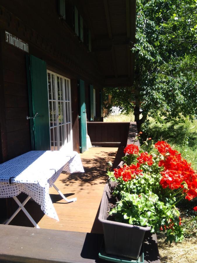 Ferien Cottage Flueehblueemli Щехелберг Екстериор снимка